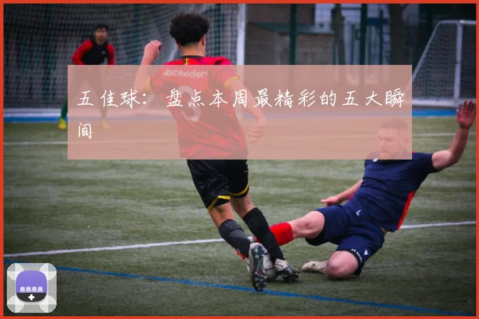 五佳球：盘点本周最精彩的五大瞬间