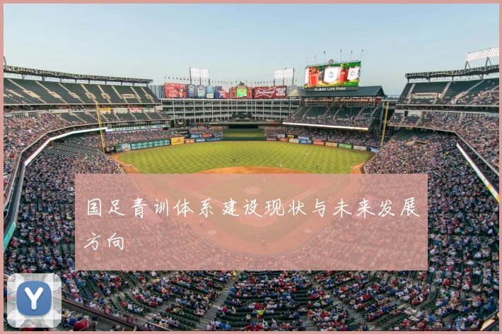 国足青训体系建设现状与未来发展方向
